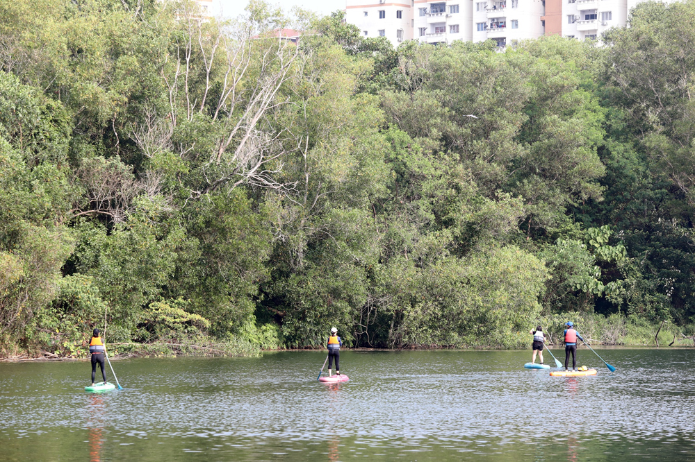 可以站着、躺着、跪着玩的立桨运动(SUP,Stand Up Paddle)