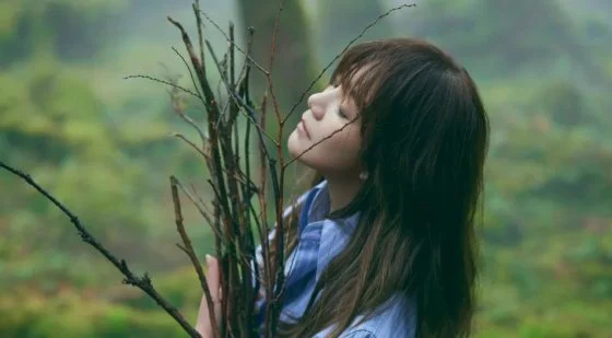 林佚/《麋鹿》梁静茹欢迎回来