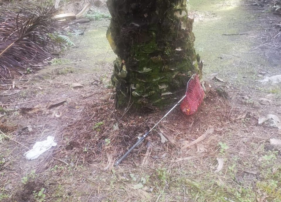 油棕园命案︱兄:似有深仇大恨 凶徒手法残暴