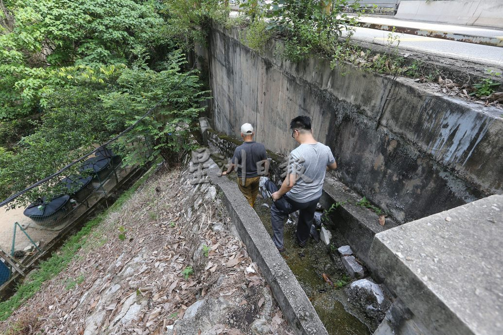 父用6年建“城市果园”疗丧子之痛 “这里每棵树都是思念的人”