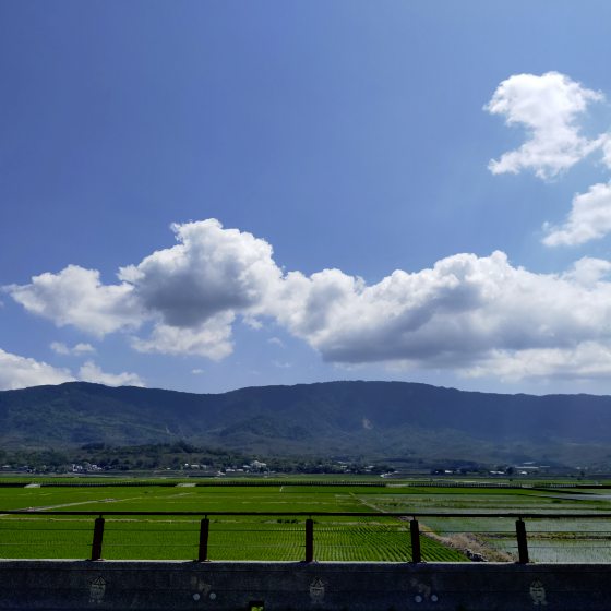 【台湾】台东池上巡礼/走进蒋勋的书中场景,与天地对话