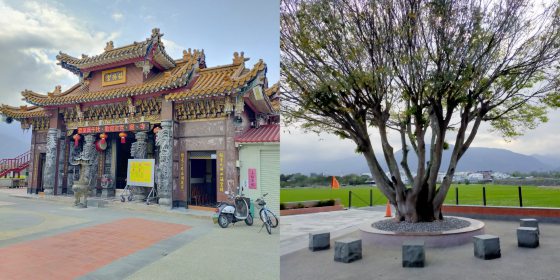 【台湾】台东池上巡礼/走进蒋勋的书中场景,与天地对话