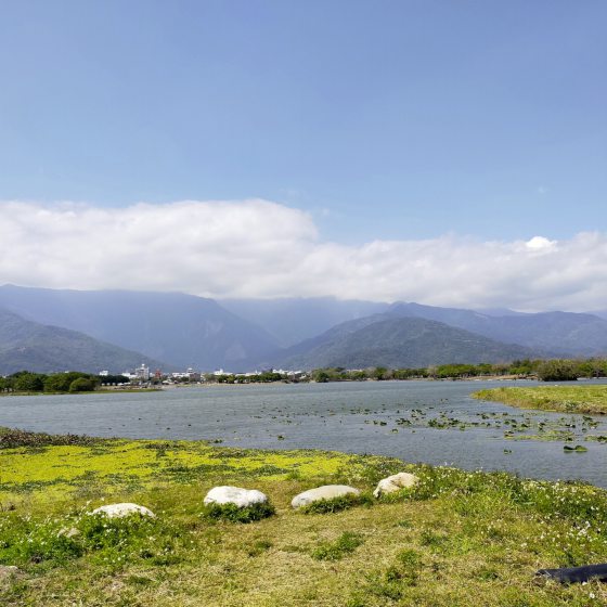【台湾】台东池上巡礼/走进蒋勋的书中场景,与天地对话