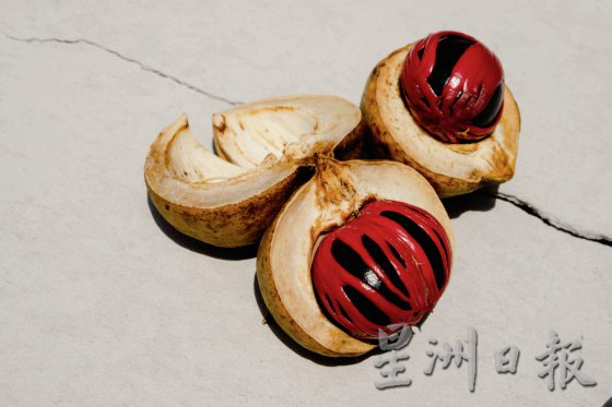 【荳蔻的故事/03】传承三代,豆蔻还能走多远?