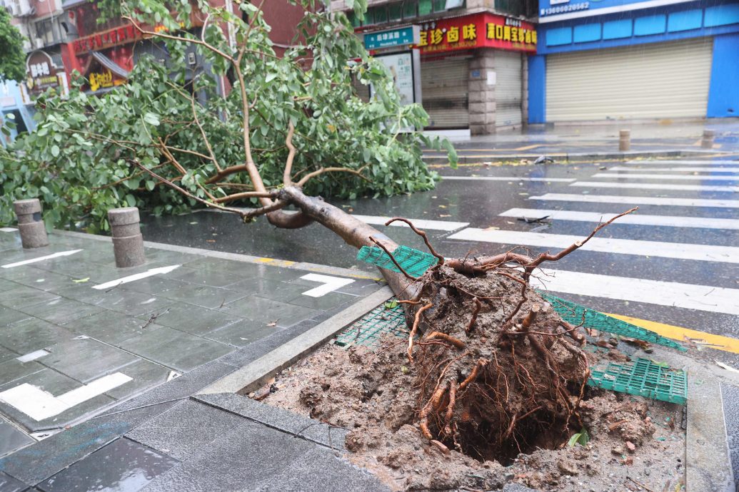 台风“杜苏芮”北上 京津冀等地有强降雨