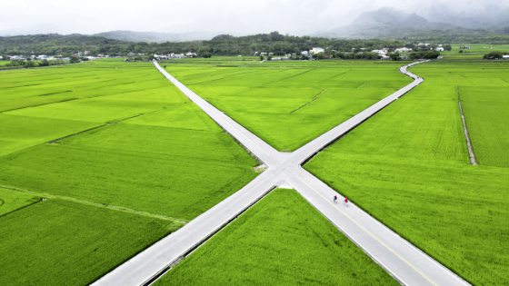 Kim Teoh/池上的密码