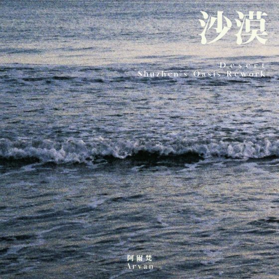 林佚/《ARVAN阿尔梵Xmü-nest厂牌──音乐企划:Part2》我的爱情通往沙漠
