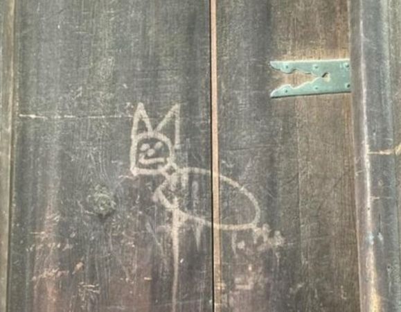 看世界/日本东大寺建物遭恶搞 大门遭人指腹用力按出“猫形状压痕”