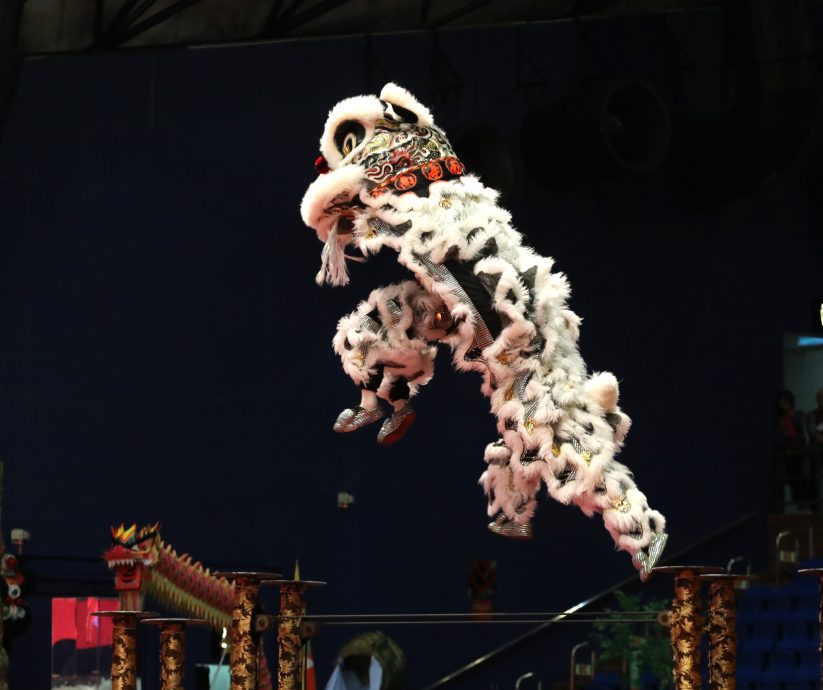 第二天:第14届云顶世界狮王争霸战