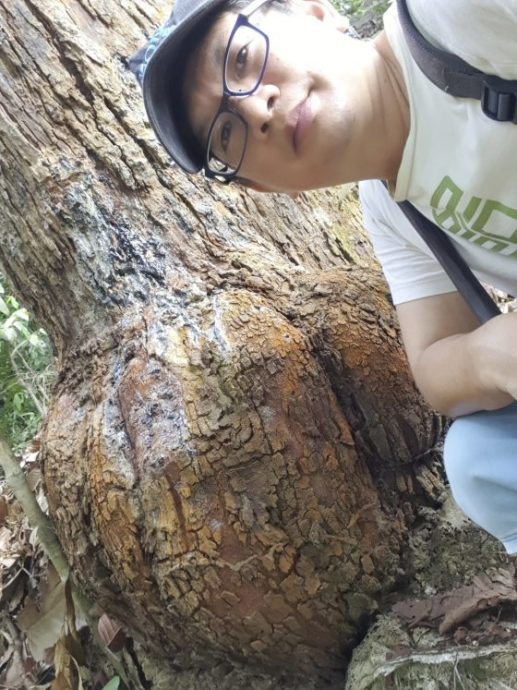 走入雨林探索香材,研制出纯粹好香