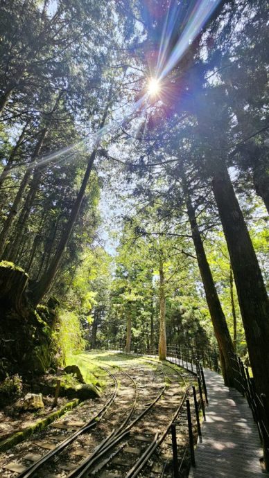 【台湾】宜兰太平山,人间仙境