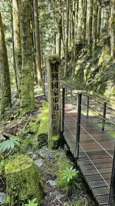 【台湾】宜兰太平山,人间仙境