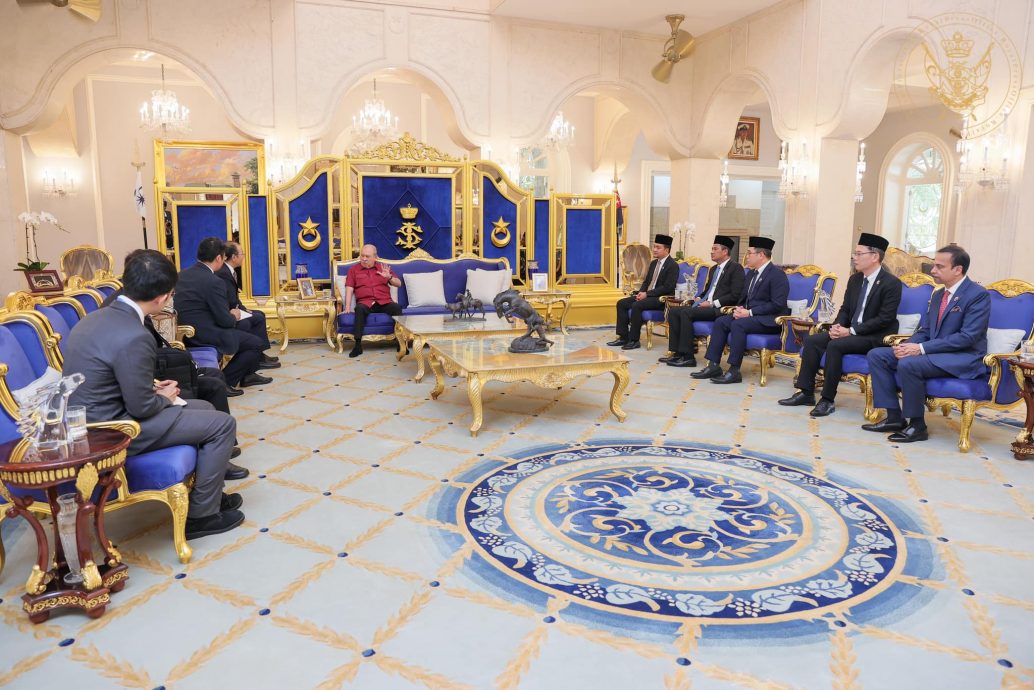 全国:新闻:柔苏丹接见中国驻马大使,双方会谈1小时