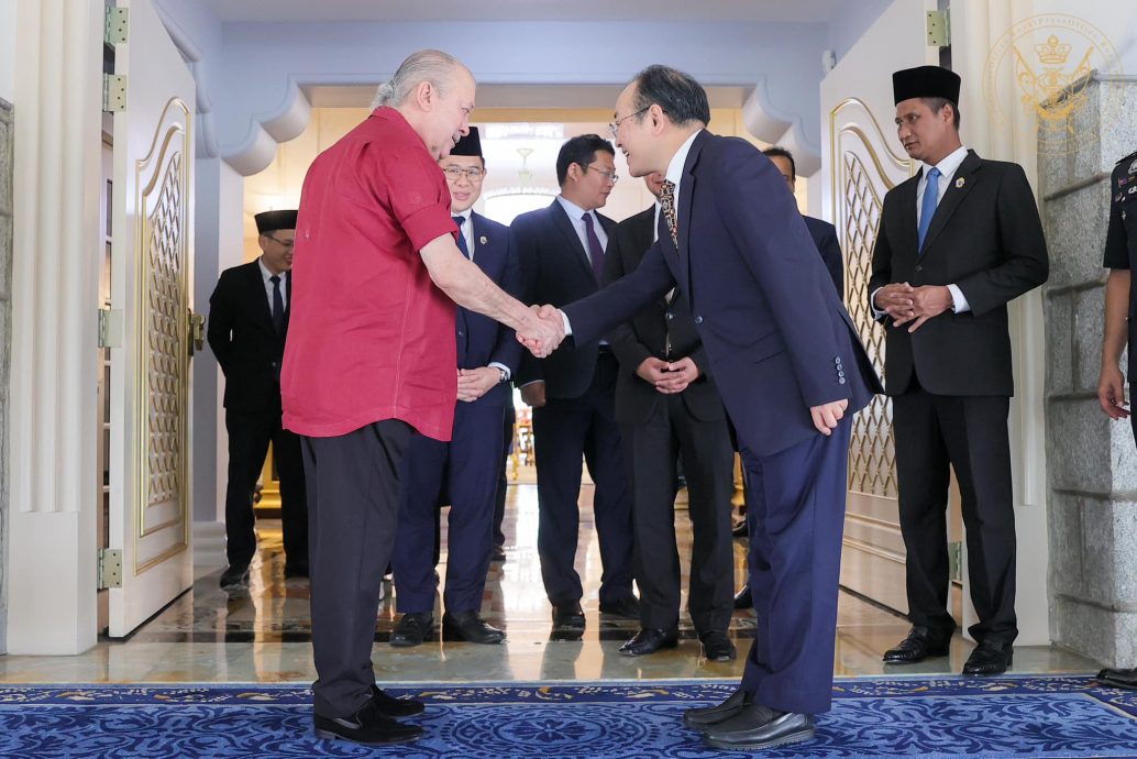 全国:新闻:柔苏丹接见中国驻马大使,双方会谈1小时