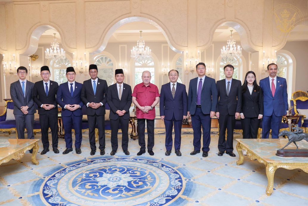 全国:新闻:柔苏丹接见中国驻马大使,双方会谈1小时