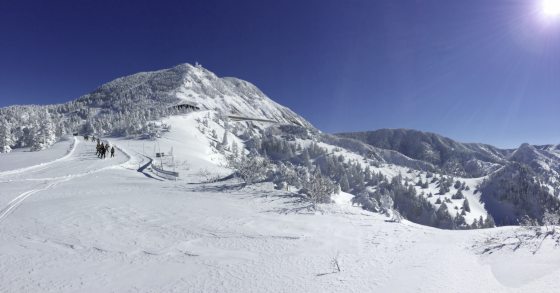 【日本】相约在冬季,体验日本唯美雪景