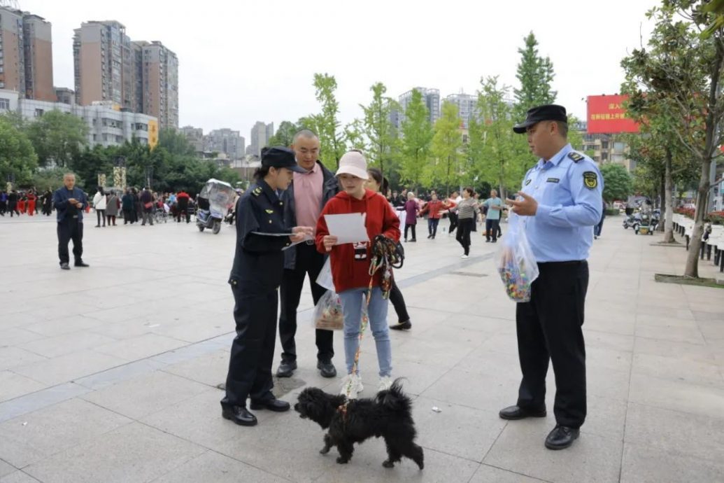 女童遭狗咬致重伤 中国多地免费发放牵狗绳