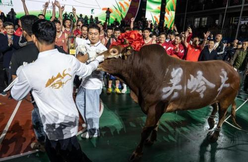 拚图两图)中国「村BA」总决赛 广东沙溪夺冠牵走一头牛