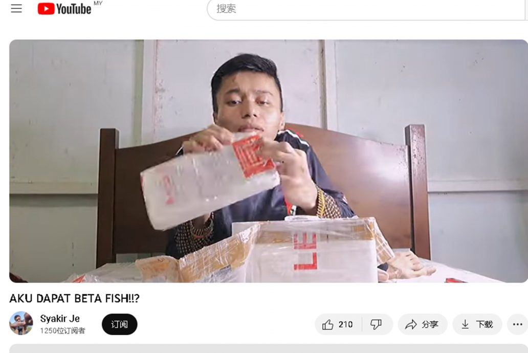 《暖势力》:忍受网上嘲讽仍坚强应对,“半身男”残友抖音成功收获33万追随者。