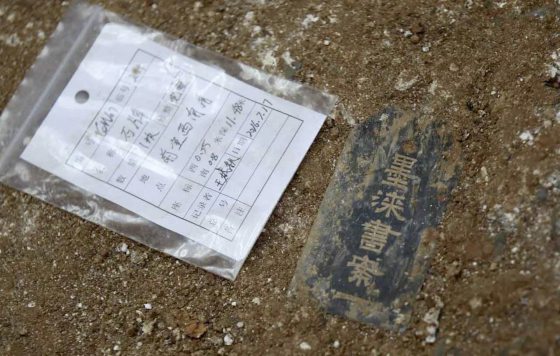 【豪古一派】林家豪/一代枭雄与一场闹剧