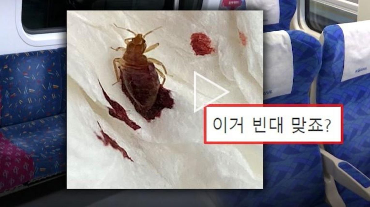 天下事配图