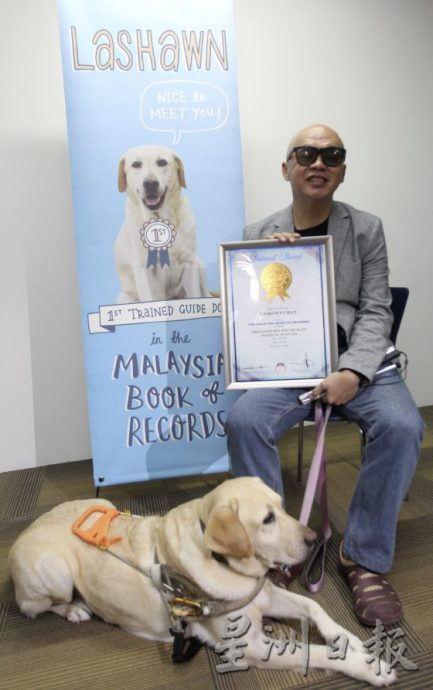 计划引进第二只导盲犬,继续争取导盲犬合法化