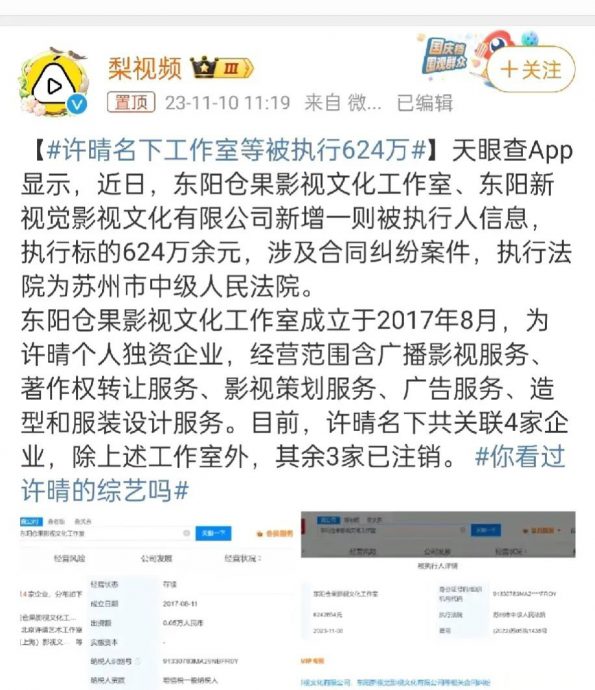 许晴被封杀? 工作室被强制执行403万