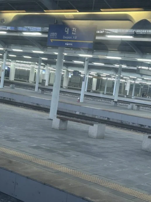 【韩国】搭上“尸速列车”,游釜山‧尝海鲜
