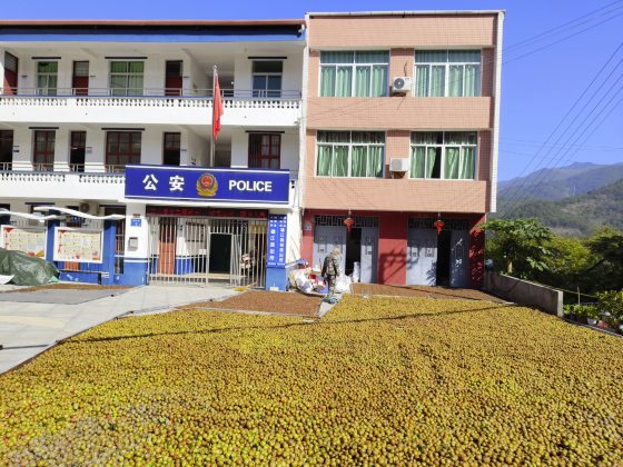 卓衍豪/从节气到风土教育