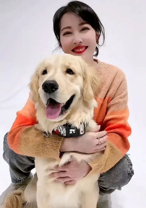 周海媚猝死原因出炉 亲姊6声明曝骨灰去向