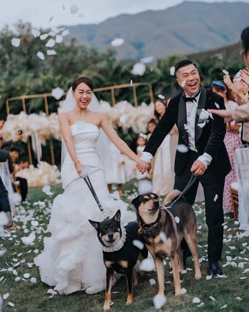 结婚不够2个月!黄心颖丁父忧