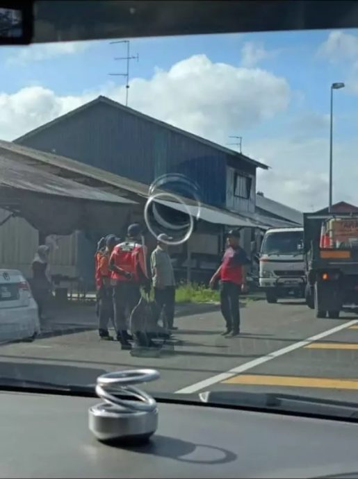 视频|骑脚车遭流浪狗追赶 男童横穿马路逃险象环生