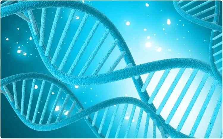 “同性相吸”基因千古不灭! 研究:双性恋男平均生育更多后代