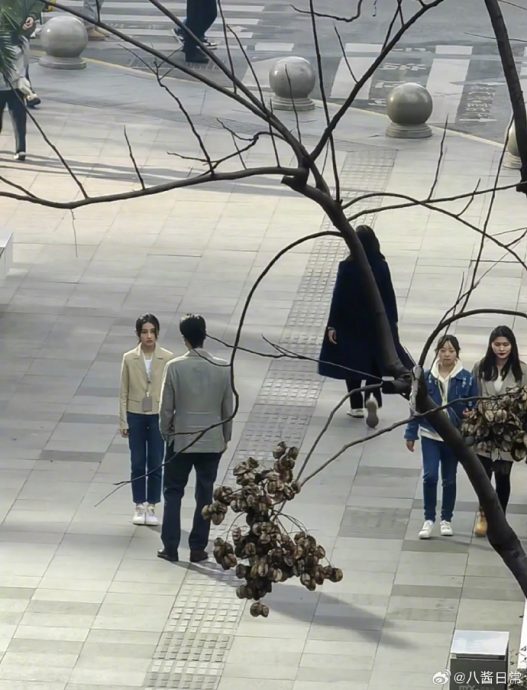 中国版《我的大叔》|赵又廷撞脸李善钧 张子枫被酸土味重
