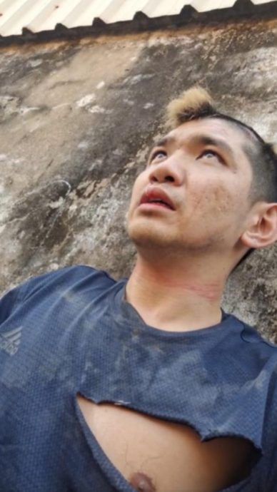 晚安小鸡闯柬埔寨现身了!