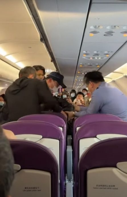 (视频)自称圣母骂“蔡英文不亲自接待” 2港人机上大闹遭赶下飞机