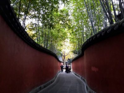 【中国】漫游锦官城,不急不躁,体验人生