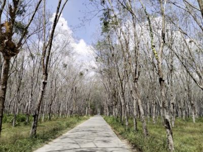 【泰国】从新山出发,跨越6州,泰南边境趴趴走
