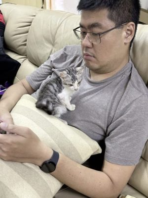 恶霸律师也有柔情──家有4狗1猫,平等爱它们