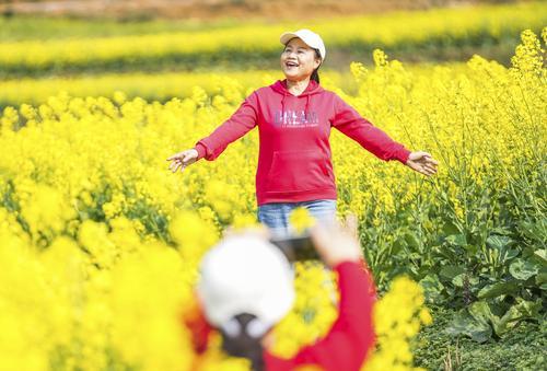 拼盘 2图 未签 贵州六枝:油菜花开春意浓(6)