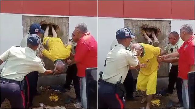 囚犯越狱凿墙逃亡 钻出洞惊见一群警察在开会