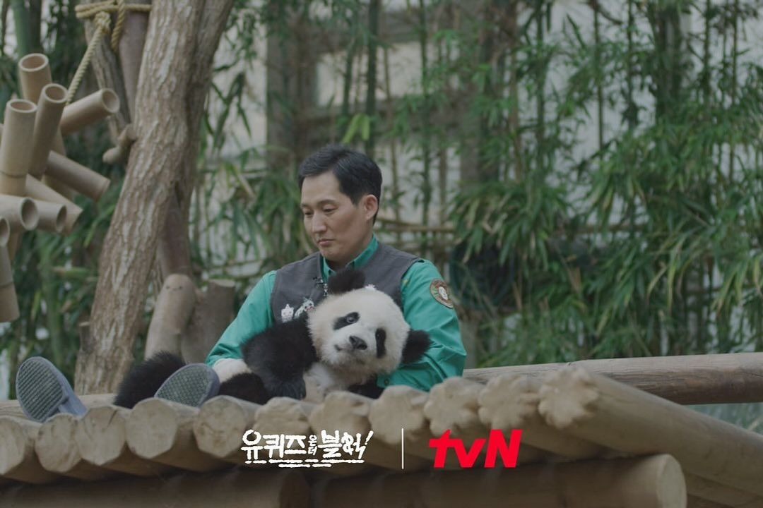 旅韩大熊猫“福宝”将拍成电影 《再见,爷爷》计划今年上映