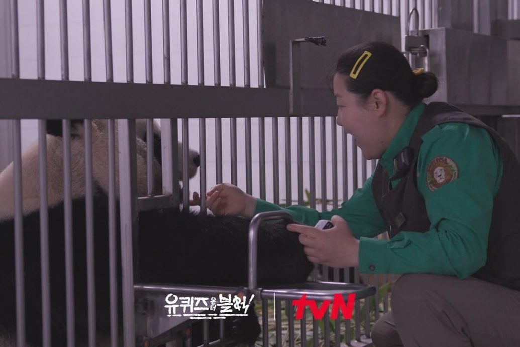 旅韩大熊猫“福宝”将拍成电影 《再见,爷爷》计划今年上映