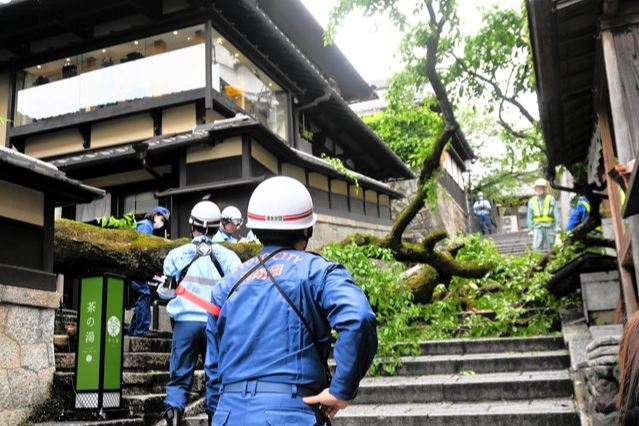 日本京都清水寺旁产宁坂 樱花树倾倒压伤一人