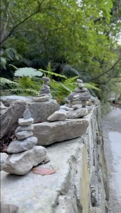 有司机目击失联新加坡夫妻 提供搜救地点建议 他们能被找到吗?