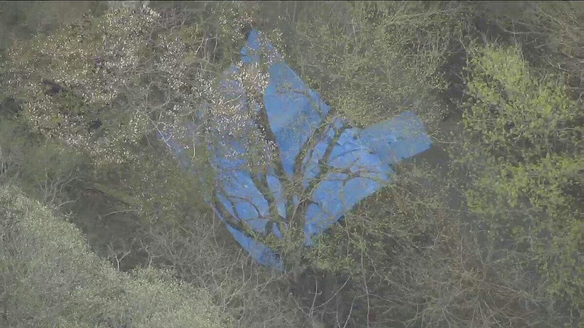 深山发现男女焦尸 男子自首警疑多人涉案