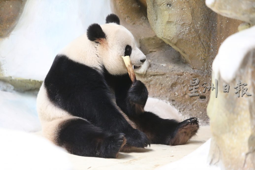 暖暖篇