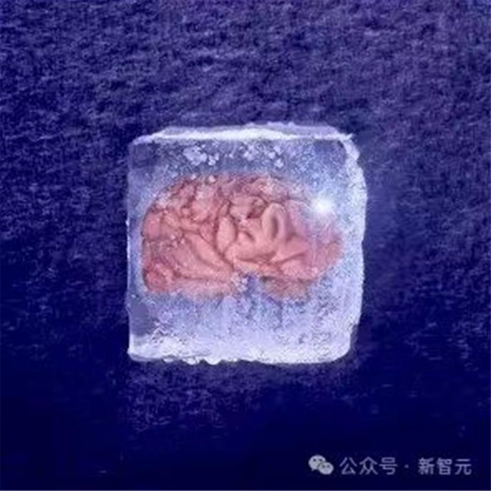 拼盘)未签 复旦大学复活冷冻18个月“人脑细胞”刷新纪录登国际期刊