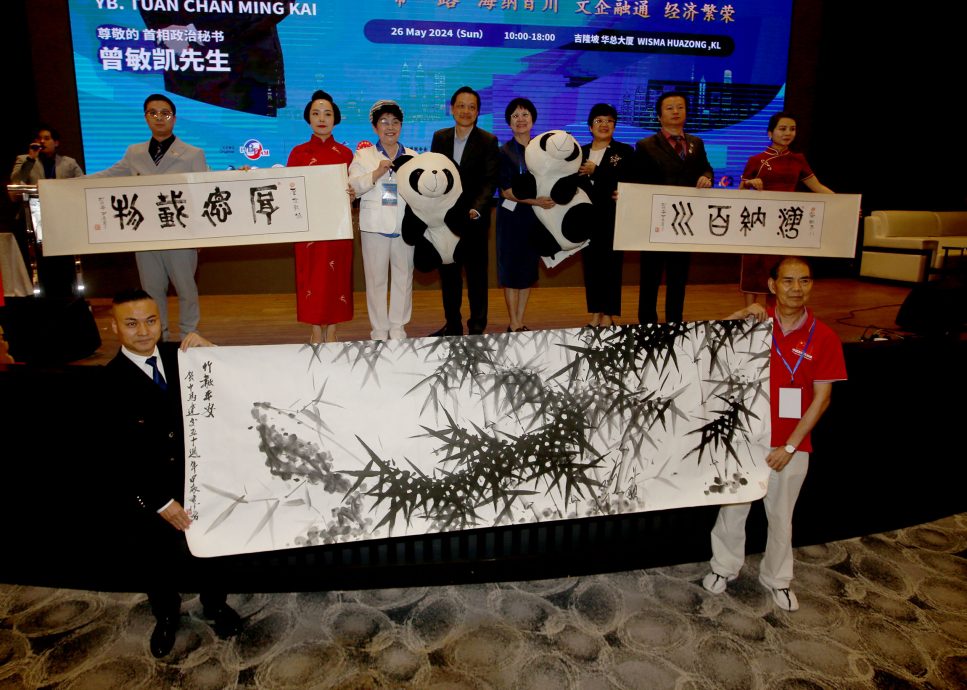 曾敏凯:马中存在信任 中国投资马感安心