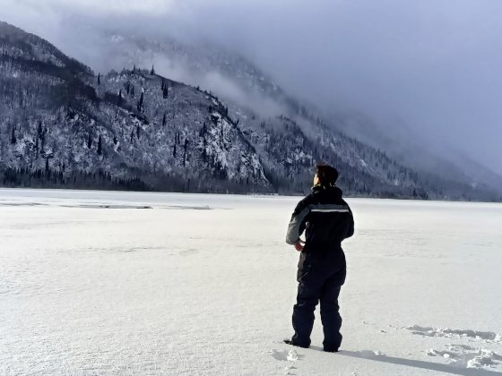 【美国】穿越冰雪,陆游阿拉斯加